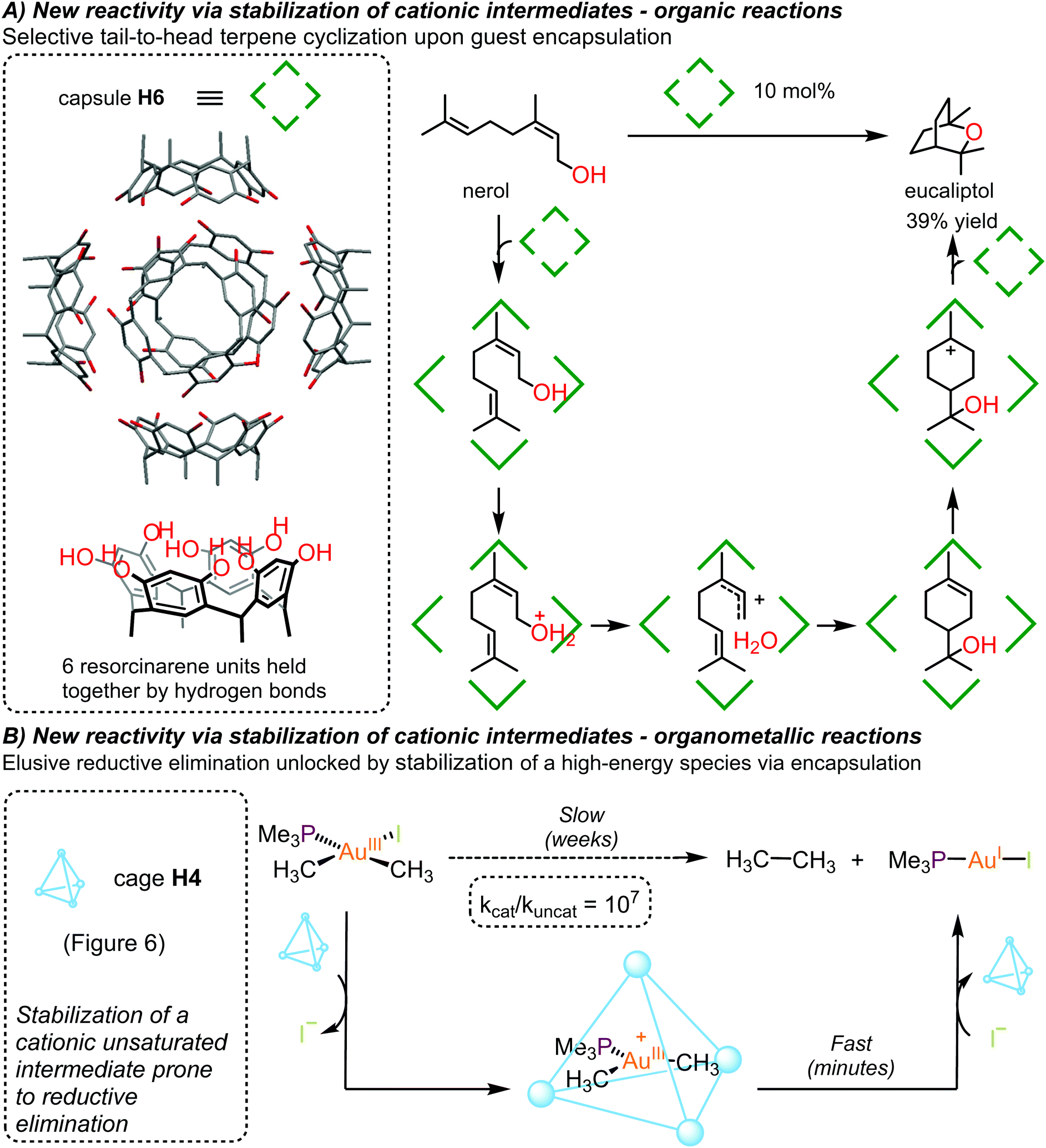 New Horizons For Catalysis Disclosed By Supramolecular Chemistry Chemical Society Reviews Rsc Publishing Doi 10 1039 D1csb New Horizons For Catalysis Disclosed By Supramolecular Chemistry Chemical Society Reviews Rsc Publishing Doi 10 1039 D1csb