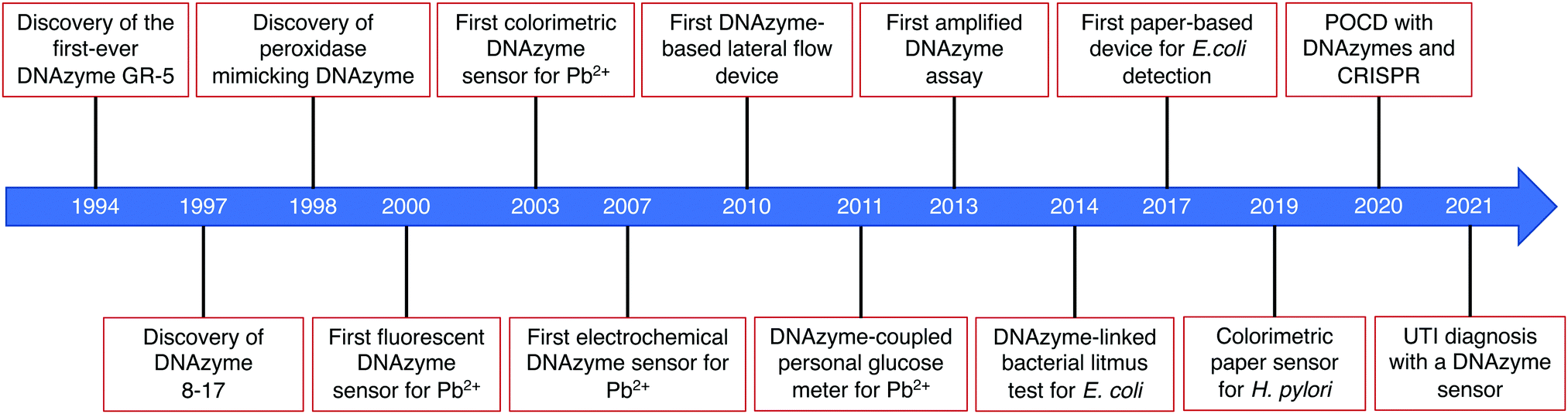 DNAzyme-Based Biosensors: Immobilization Strategies, Applications, and  Future Prospective