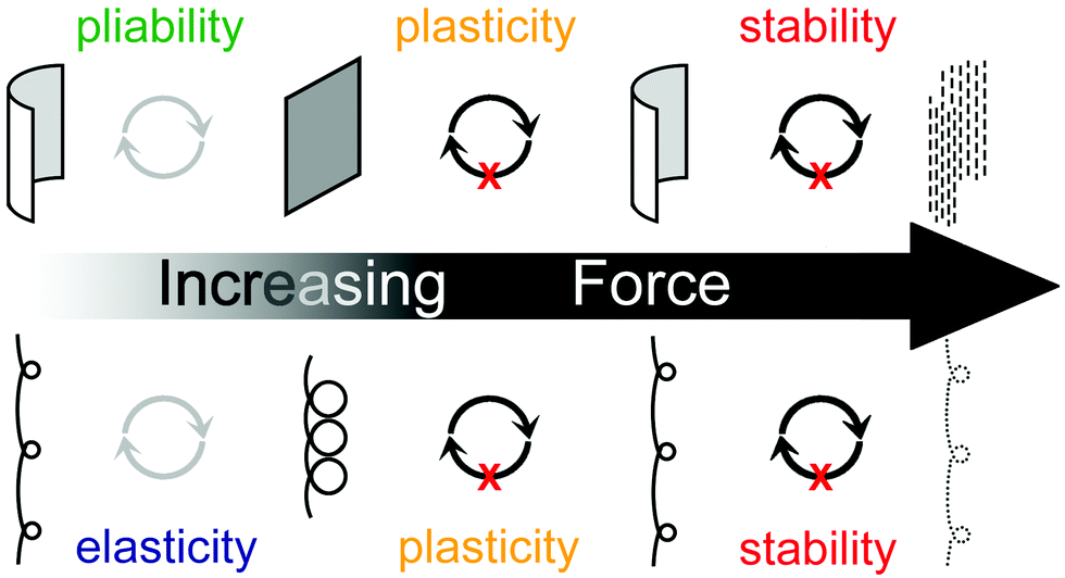 An Introduction to Pliability 