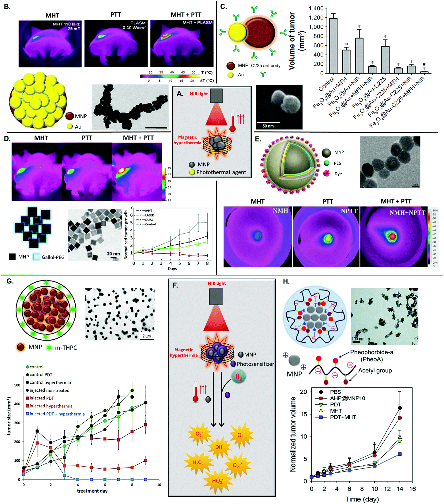 Magnetic nanoparticles and clusters for magnetic hyperthermia: optimizing  their heat performance and developing combinatorial therapies to tackle  canc ... - Chemical Society Reviews (RSC Publishing) DOI:10.1039/D1CS00427A