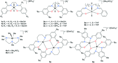 Morpholine-Stabilized Cationic Aluminum Complexes and Their