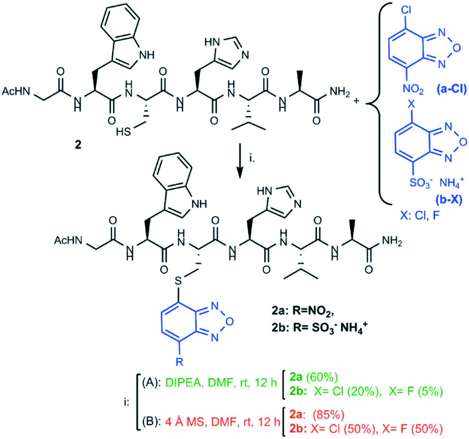 Thio Conjugation Of Substituted Benzofurazans To Peptides Molecular Sieves Catalyze Nucleophilic Attack On Unsaturated Fused Rings Catalysis Science Technology Rsc Publishing Doi 10 1039 D0cy004d