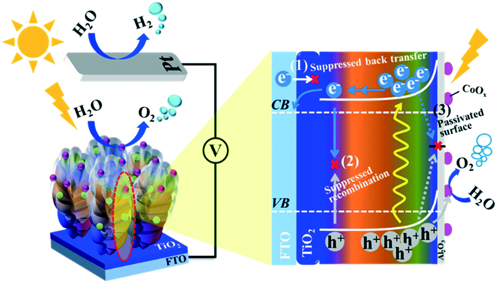 Rational Design Of Interface Refining Through Ti 4 Zr 4 Diffusion Doping And Tio 2 Zro 2 Surface Crowning Of Znfe 2 O 4 Nanocorals For Photoelectr Catalysis Science Technology Rsc Publishing Doi 10 1039 D0cya