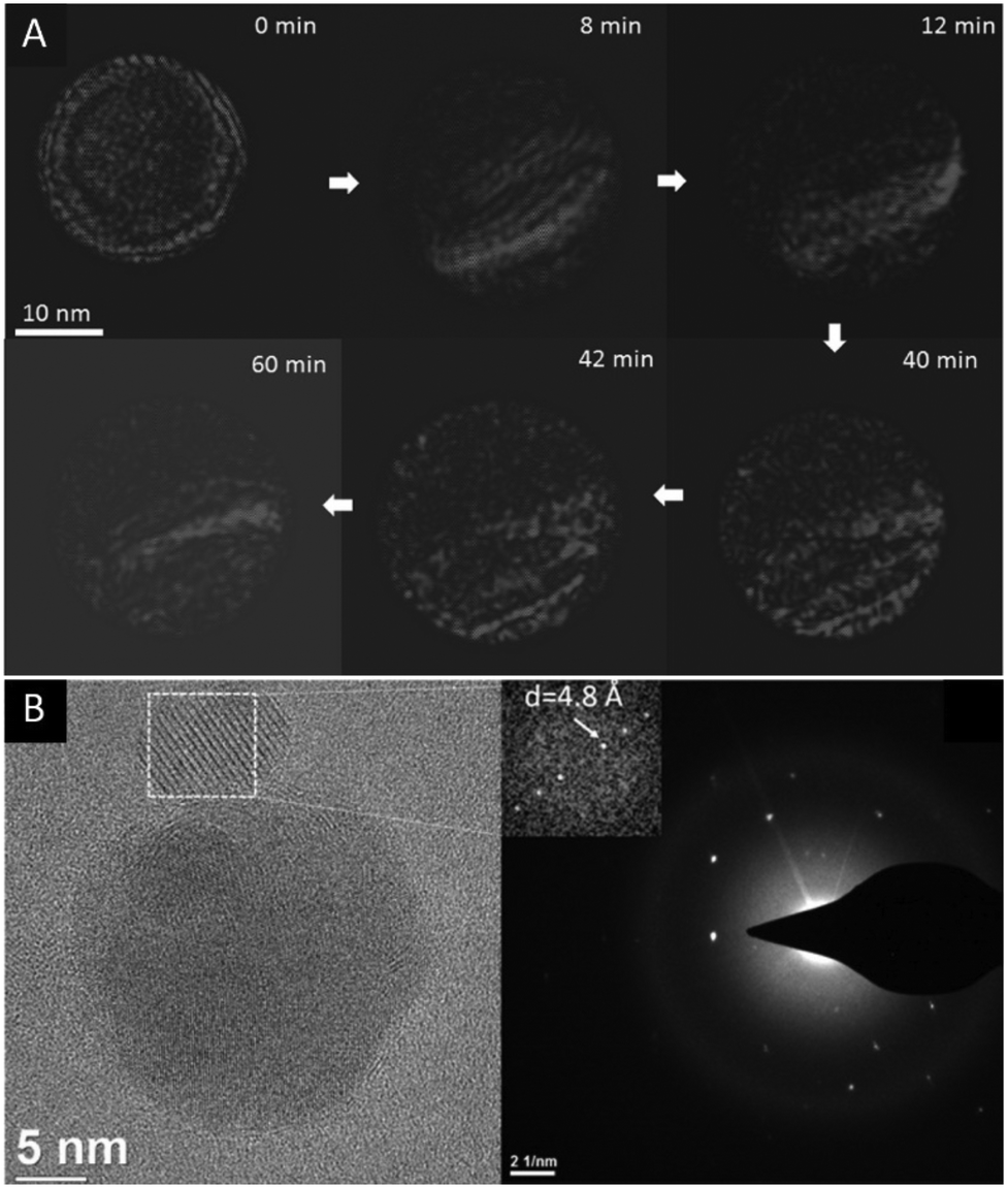 Developments and advances in in situ transmission electron