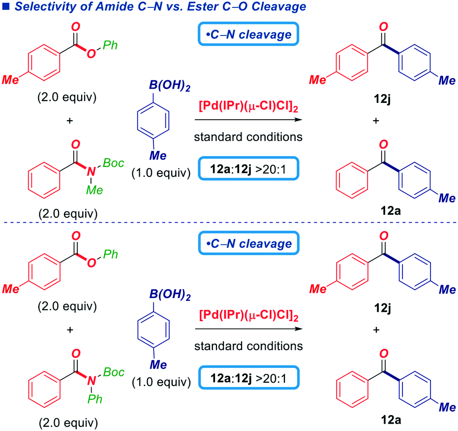 Suzuki Miyaura Cross Coupling Of Esters By Selective O C O Cleavage Mediated By Air And Moisture Stable Pd Nhc M Cl Cl 2 Precatalysts Catalyst E Catalysis Science Technology Rsc Publishing Doi 10 1039 D1cyg