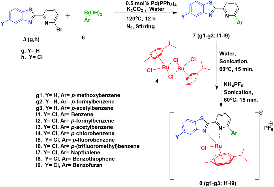 Dna Targeting Half Sandwich Ru Ii P Cymene N N Complexes As Cancer Cell Imaging And Terminating Agents Influence Of Regioisomers In Cytotoxicity Dalton Transactions Rsc Publishing Doi 10 1039 D0dtk