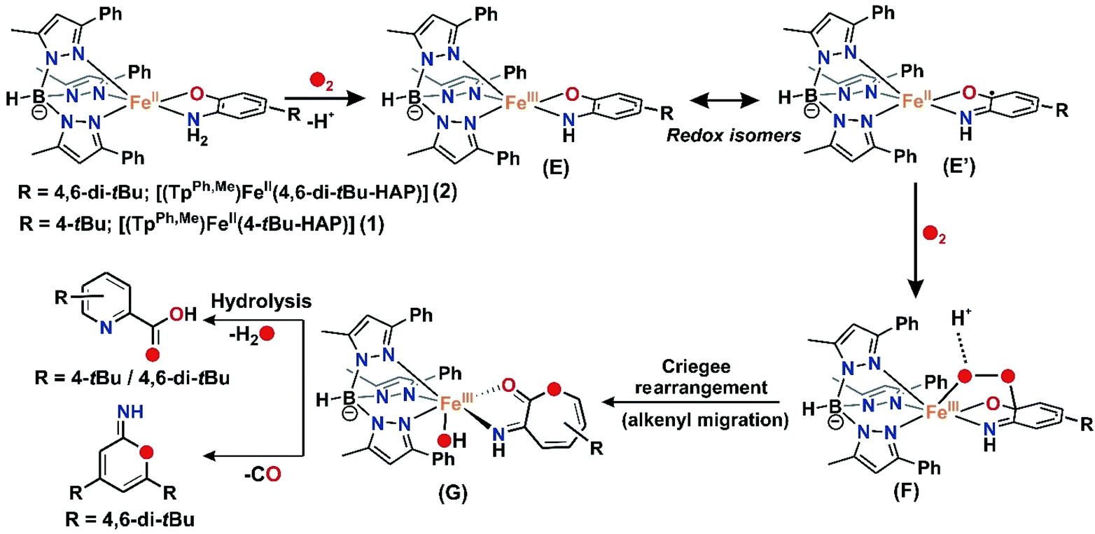 Tuning The Stereoelectronic Factors Of Iron Ii 2 Aminophenolate Complexes For The Reaction With Dioxygen Oxygenolytic C C Bond Cleavage Vs Oxida Dalton Transactions Rsc Publishing Doi 10 1039 D0dtb