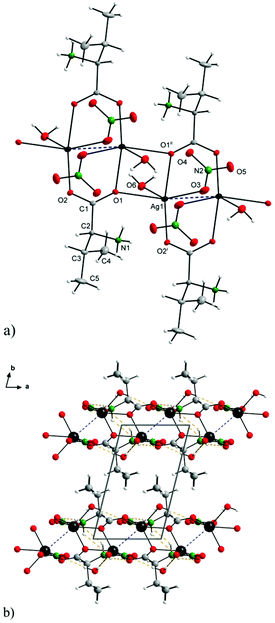 An In Vitro Selective Inhibitory Effect Of Silver I Aminoacidates Against Bacteria And Intestinal Cell Lines And Elucidation Of The Mechanism Of Ac Dalton Transactions Rsc Publishing Doi 10 1039 D0dtd