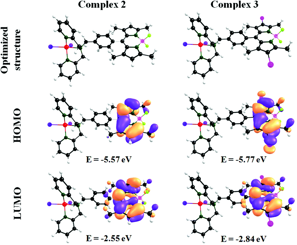 Bodipy Linked Cis Dichlorido Zinc Ii Conjugates The Strategic Design Of Organelle Specific Next Generation Theranostic Photosensitizers Dalton Transactions Rsc Publishing Doi 10 1039 D0dt03342a