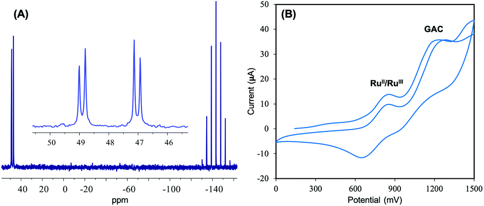 A Novel Ruthenium Ii Gallic Acid Complex Disrupts The Actin Cytoskeleton And Inhibits Migration Invasion And Adhesion Of Triple Negative Breast Tu Dalton Transactions Rsc Publishing Doi 10 1039 D0dth