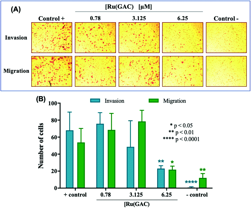 A Novel Ruthenium Ii Gallic Acid Complex Disrupts The Actin Cytoskeleton And Inhibits Migration Invasion And Adhesion Of Triple Negative Breast Tu Dalton Transactions Rsc Publishing Doi 10 1039 D0dth