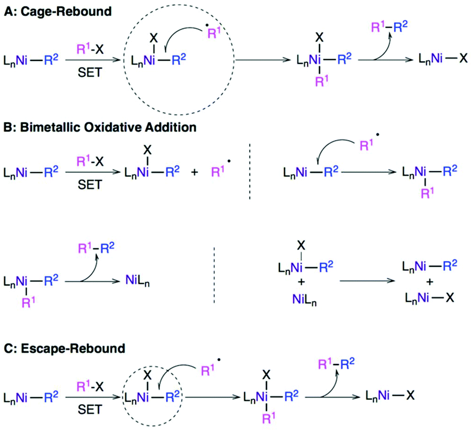 Recent Advances In Pincer Nickel Catalyzed Reactions Dalton Transactions Rsc Publishing Doi 10 1039 D0dta