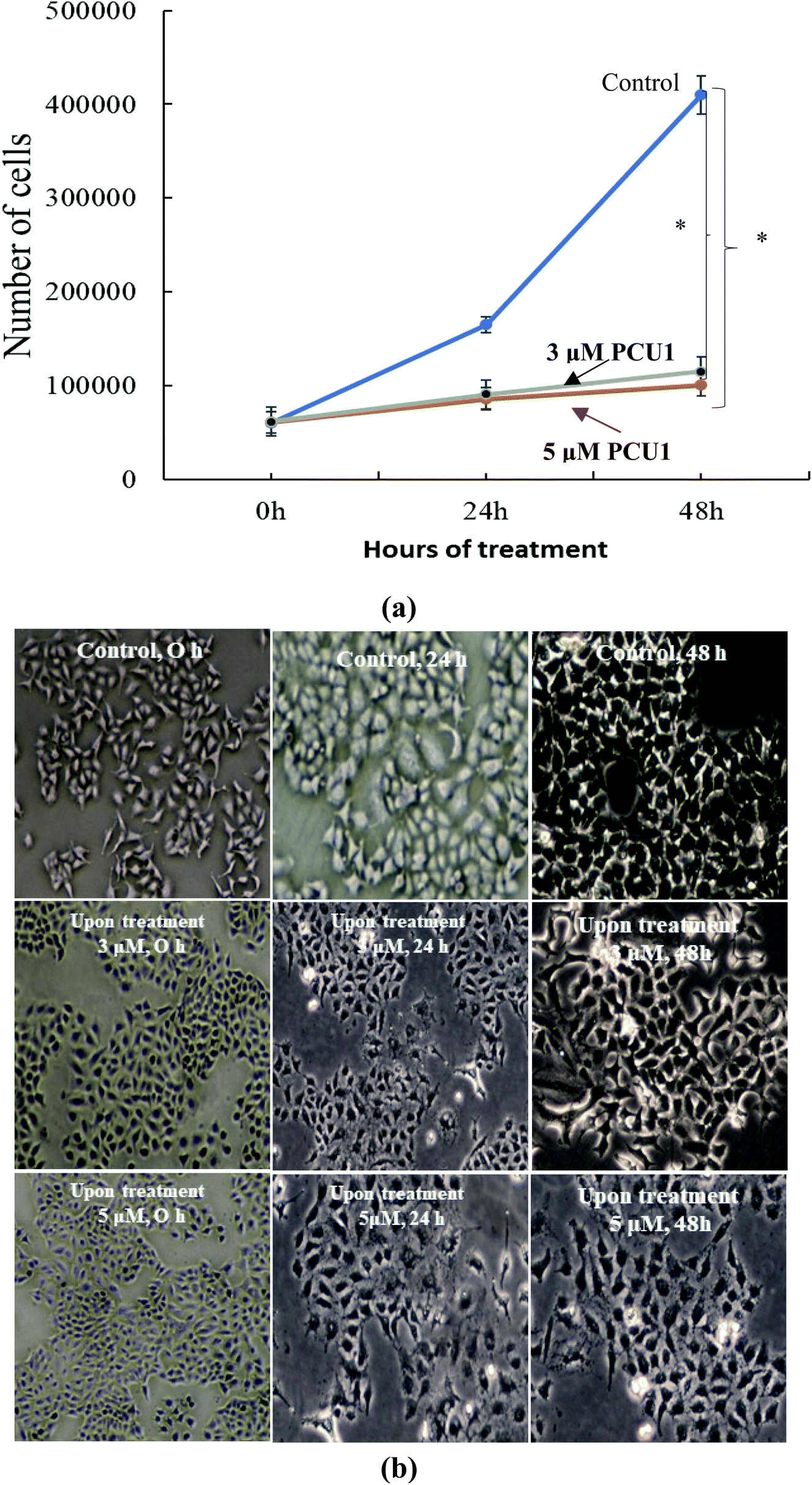 A Novel Biocompatible Formate Bridged 1d Cu Ii Coordination Polymer Induces Apoptosis Selectively In Human Lung Adenocarcinoma A549 Cells Dalton Transactions Rsc Publishing Doi 10 1039 D0dt037f