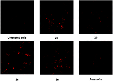 image file: d0dt03902k-f8.tif