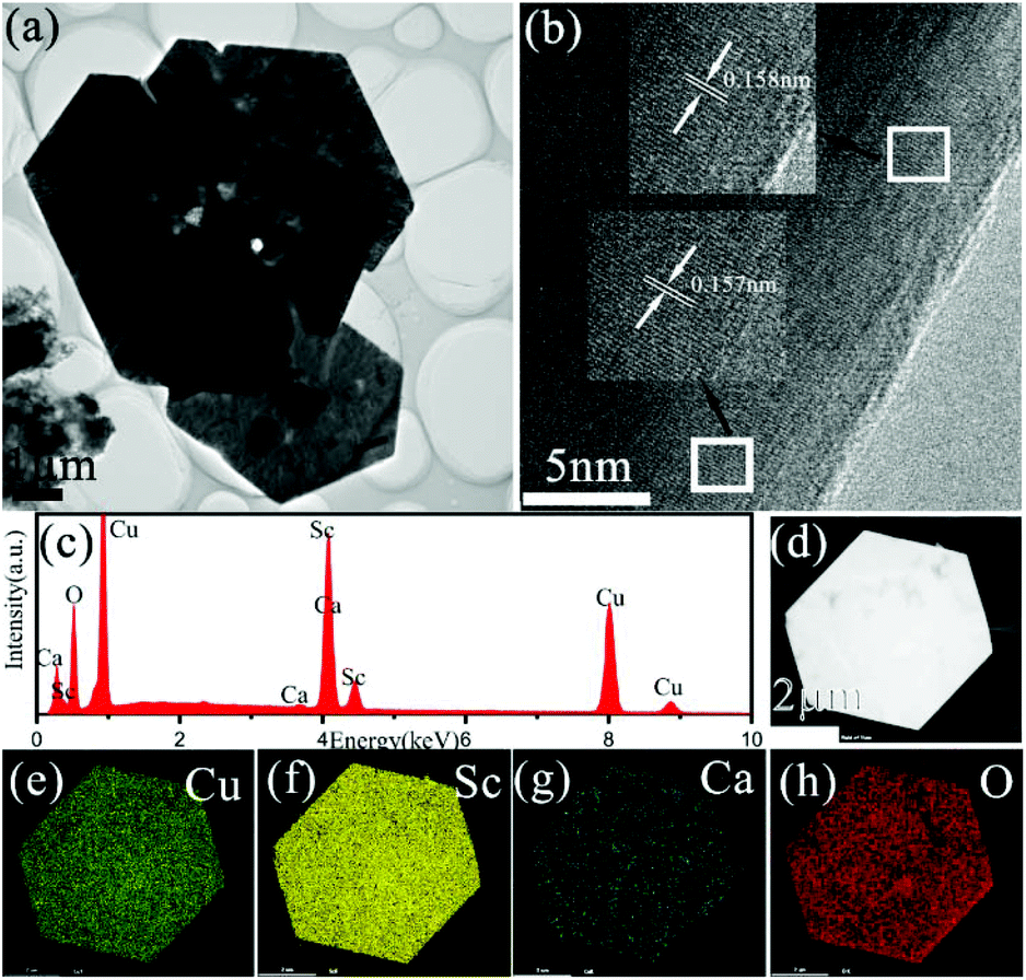 P Type Transparent Conducting Characteristics Of Delafossite Ca Doped Cusco 2 Prepared By Hydrothermal Synthesis Dalton Transactions Rsc Publishing Doi 10 1039 D1dtc