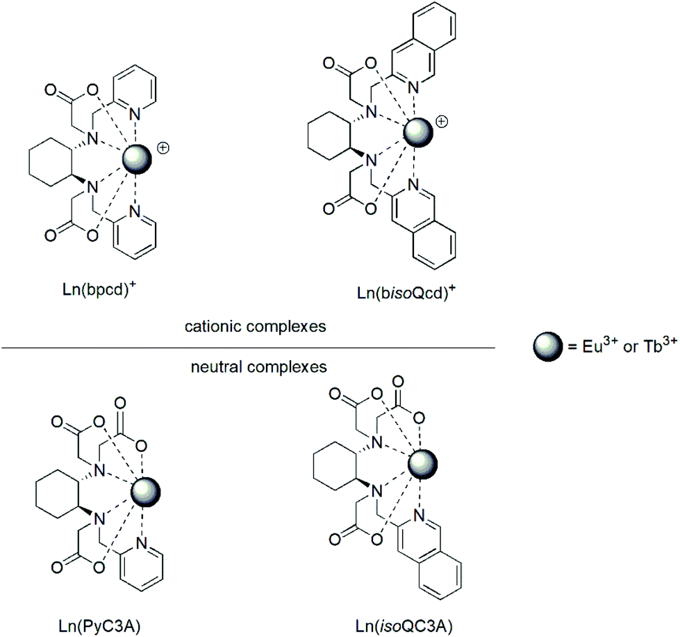 Isoquinoline Based Eu Iii Luminescent Probes For Citrate Sensing In Complex Matrix Dalton Transactions Rsc Publishing Doi 10 1039 D1dta