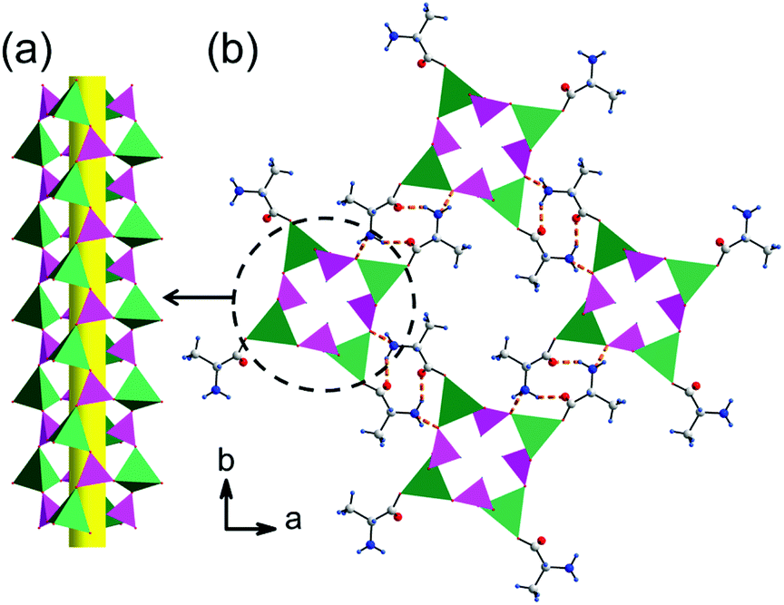 Amino Acid Templated Zinc Phosphites Low Dimensional Structures Fluorescence And Nonlinear Optical Properties Dalton Transactions Rsc Publishing Doi 10 1039 D1dtg