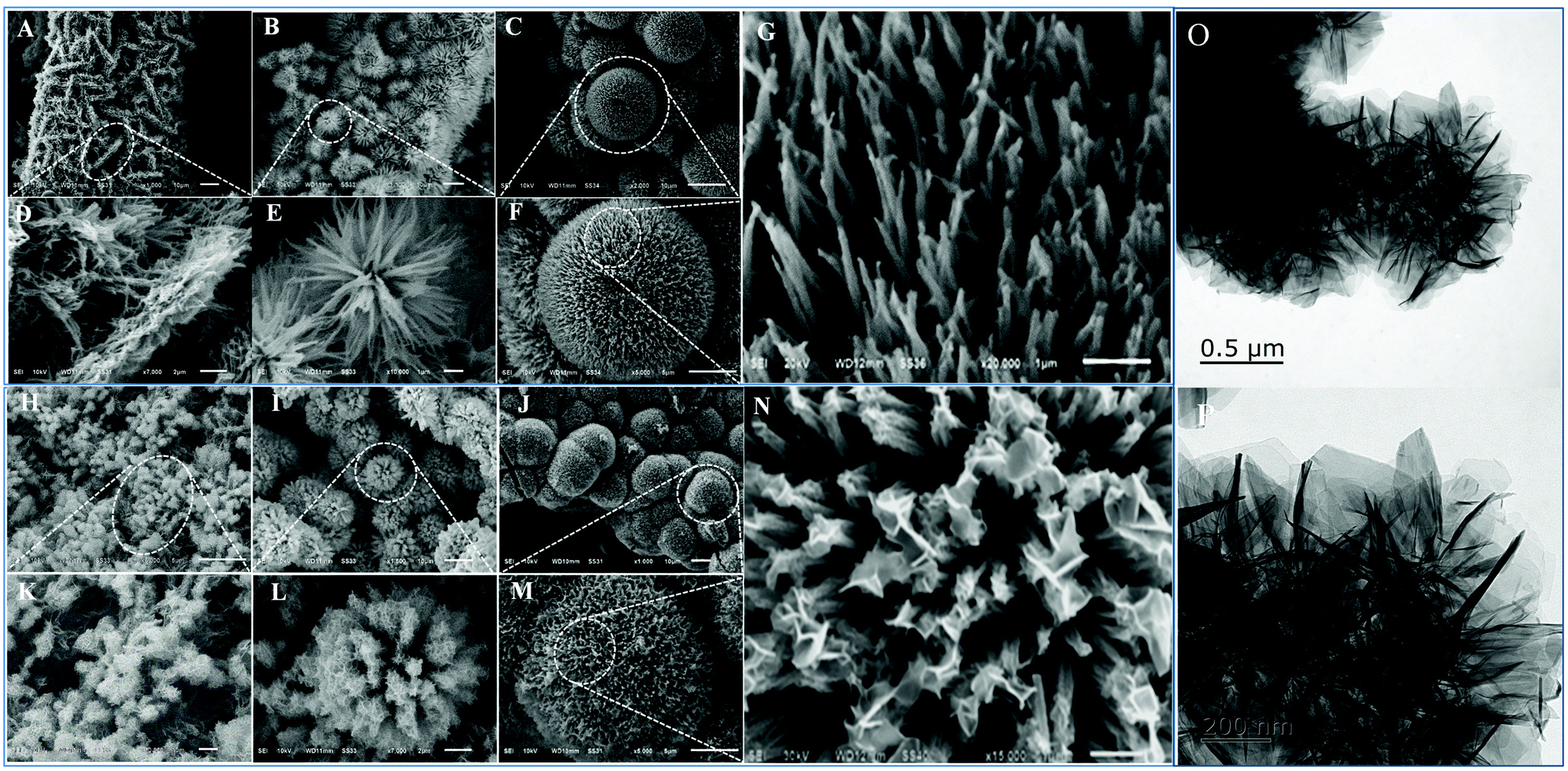 Controllable architecture of the NiCoZnS@NiCoFe layered Controllable architecture of the NiCoZnS@NiCoFe layered