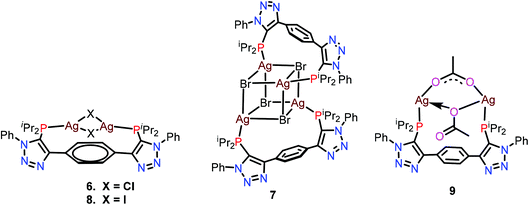 Group 11 Metal Complexes Of The Dinucleating Triazole Appended Bisphosphine 1 4 Bis 5 Diisopropylphosphaneyl 1 Phenyl 1 H 1 2 3 Triazol 4 Yl Benzen Dalton Transactions Rsc Publishing Doi 10 1039 D1dtk