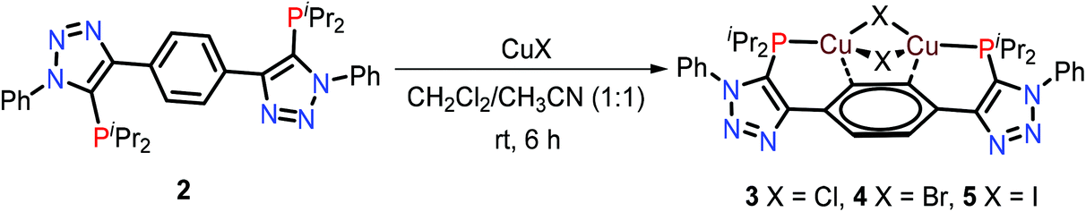 Group 11 Metal Complexes Of The Dinucleating Triazole Appended Bisphosphine 1 4 Bis 5 Diisopropylphosphaneyl 1 Phenyl 1 H 1 2 3 Triazol 4 Yl Benzen Dalton Transactions Rsc Publishing Doi 10 1039 D1dtk