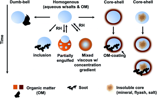 Aging of Atmospheric Brown Carbon Aerosol