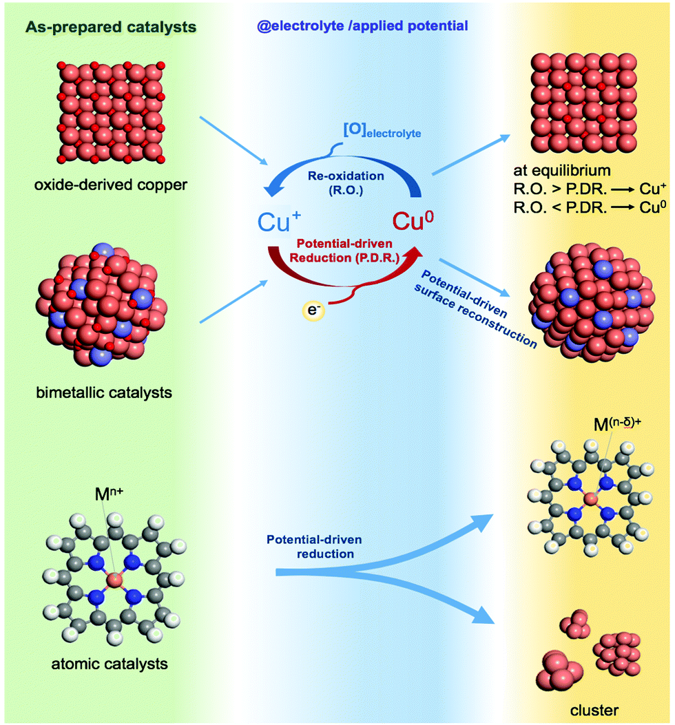 Emerging dynamic structure of electrocatalysts unveiled by in situ 