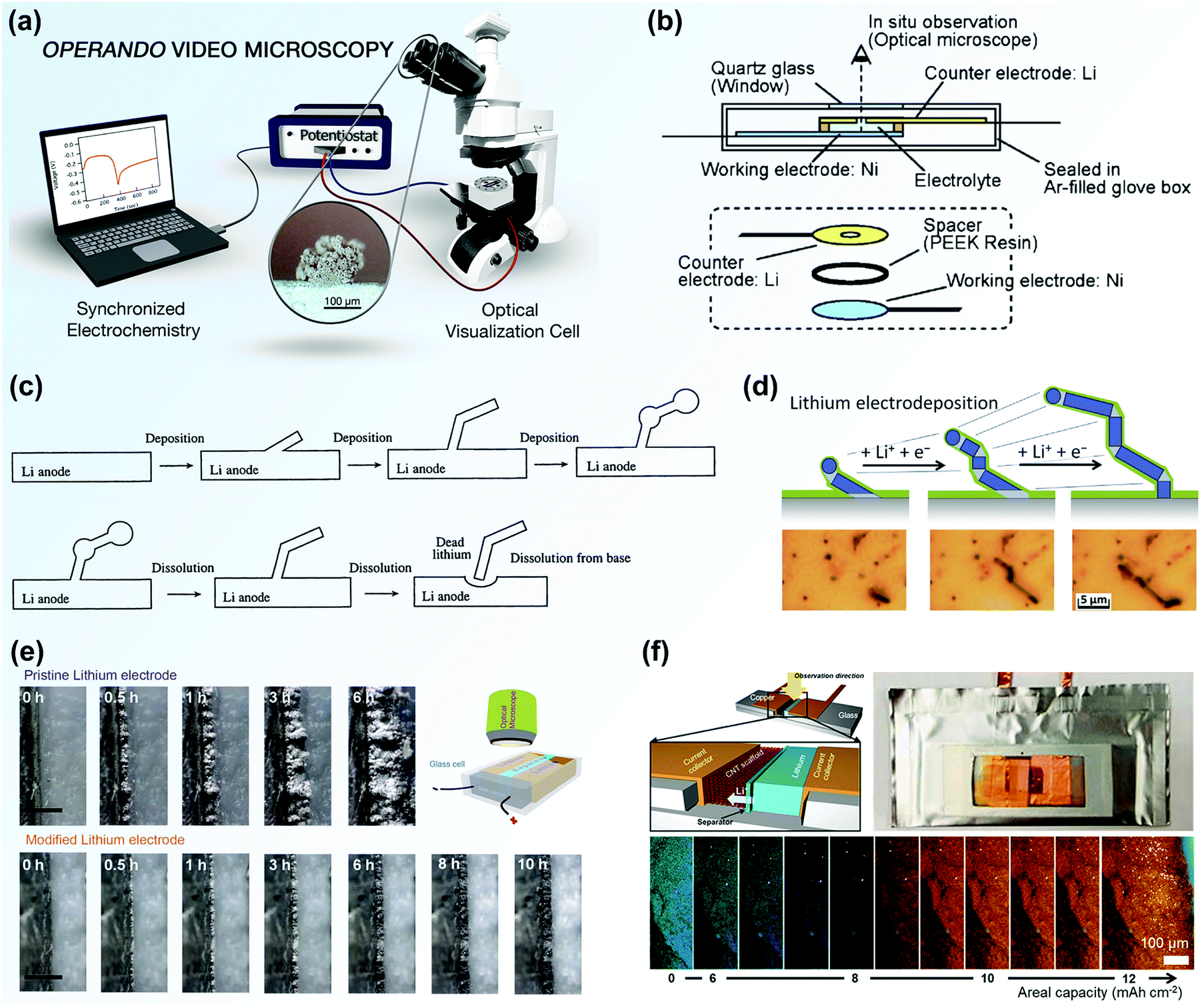 Advanced in situ technology for Li/Na metal anodes: an in-depth 