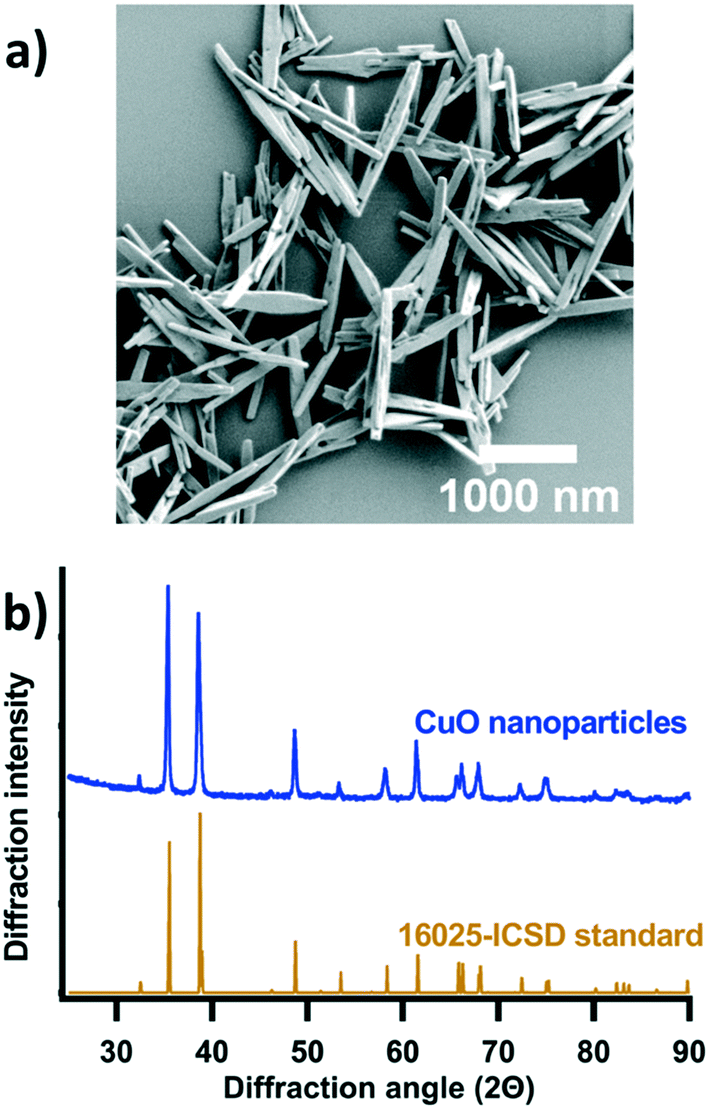 Biomolecular Corona Formation On Cuo Nanoparticles In Plant Xylem Fluid Environmental Science Nano Rsc Publishing Doi 10 1039 D1enj