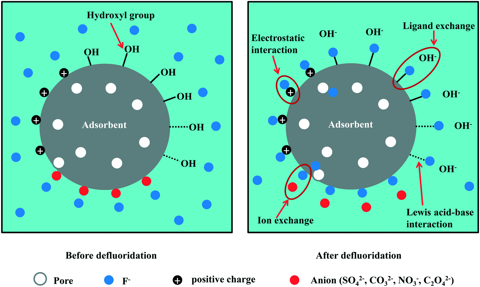 PDF) Adsorption of fluoride ions on hydroxyapatite-modified Corbula trigona  shell waste: Effect of coexisting anions, temperature and regeneration