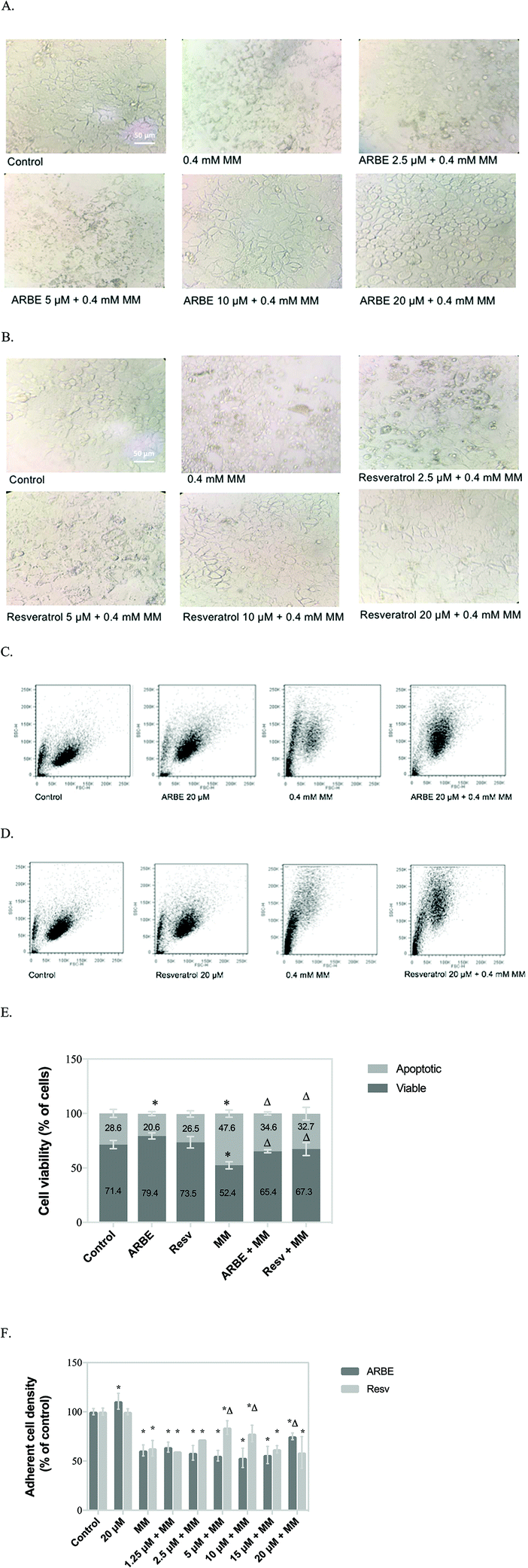 Differential Protection By Anthocyanin Rich Bilberry Extract And Resveratrol Against Lipid Micelle Induced Oxidative Stress And Monolayer Permeability Food Function Rsc Publishing Doi 10 1039 D0foa