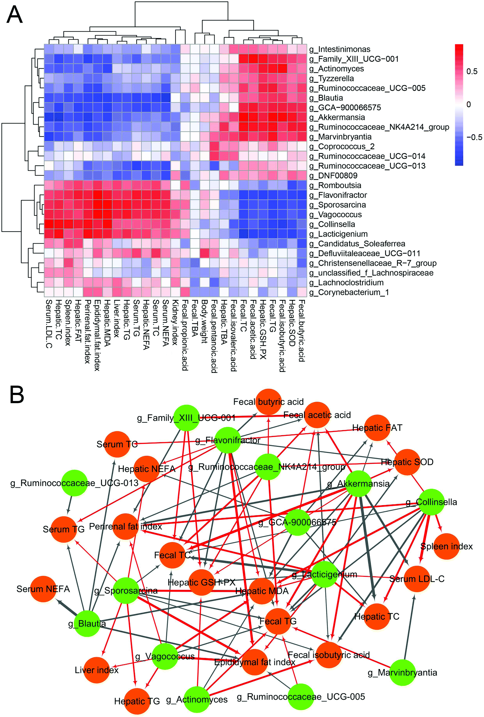 The Beneficial Effects Of Lactobacillus Brevis Fzu0713 Fermented Laminaria Japonica On Lipid Metabolism And Intestinal Microbiota In Hyperlipidemic Ra Food Function Rsc Publishing Doi 10 1039 D1foj