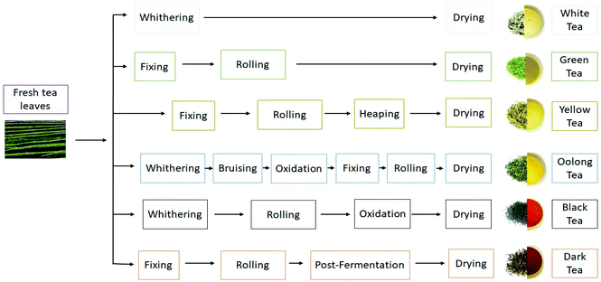 Tea Brewing 101: Ratios, Temperature & Timing - Hey China