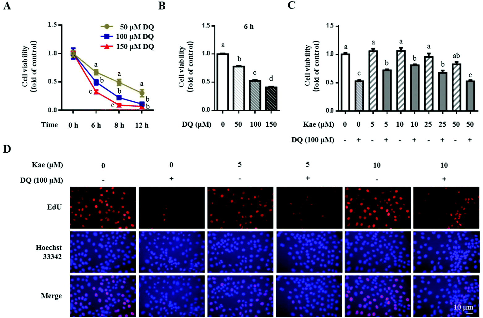 Kaempferol attenuates diquat-induced oxidative damage and