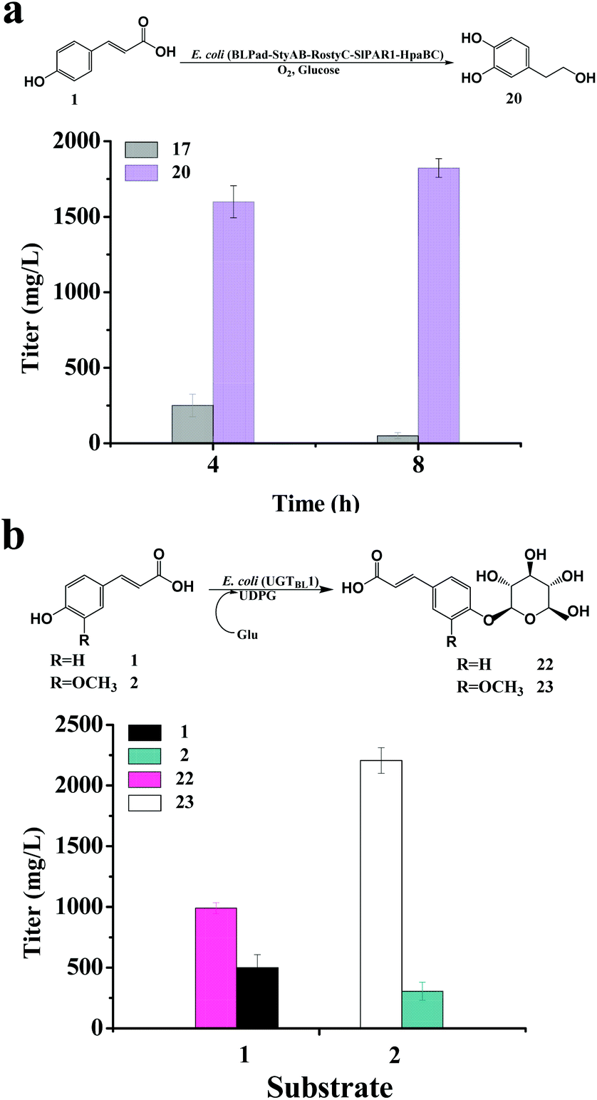 Rapid Biosynthesis Of Phenolic Glycosides And Their Derivatives From Biomass Derived Hydroxycinnamates Green Chemistry Rsc Publishing Doi 10 1039 D0gc03595e