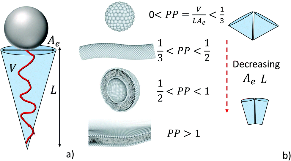 Self-assembly, interfacial properties, interactions with macromolecules and  molecular modelling and simulation of microbial bio-based amphiphiles (bio   - Green Chemistry (RSC Publishing) DOI:10.1039/D1GC00097G