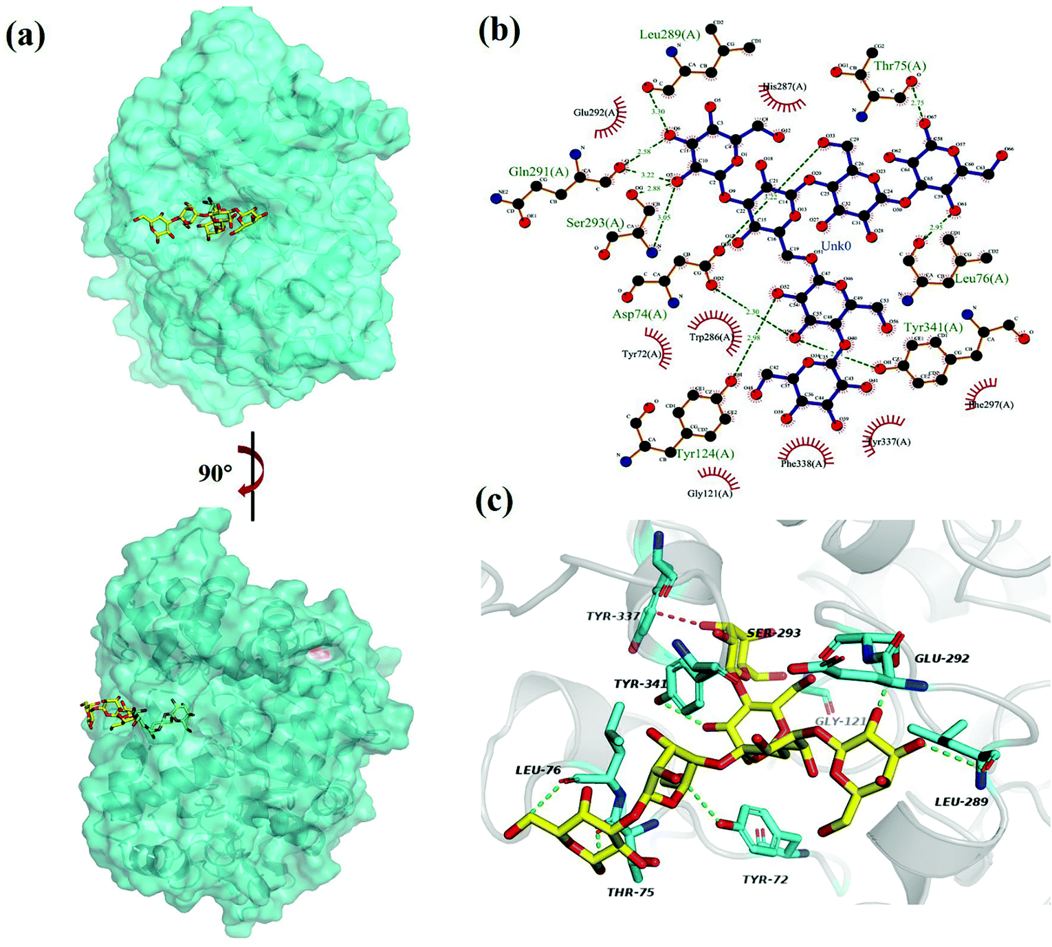 Extraction Assisted By Far Infrared Radiation And Hot Air Circulation With Deep Eutectic Solvent For Bioactive Polysaccharides From Poria Cocos Schw Green Chemistry Rsc Publishing Doi 10 1039 D1gc01773j