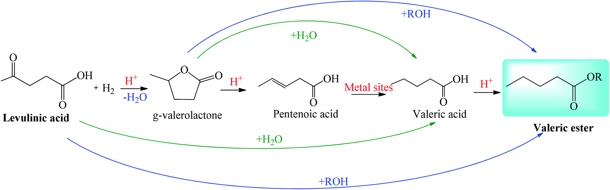 Sustainable production of levulinic acid and its derivatives Sustainable production of levulinic acid and its derivatives