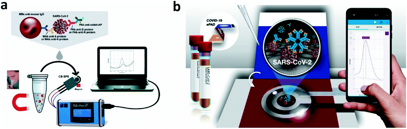 Point Of Care Testing Detection Methods For Covid 19 Lab On A Chip Rsc Publishing Doi 10 1039 D0lc01156h