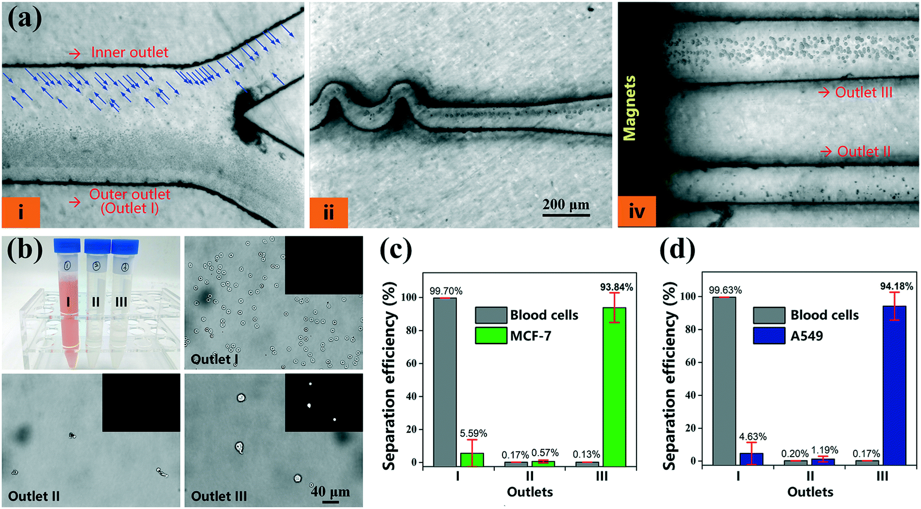 Rapid And Precise Tumor Cell Separation Using The Combination Of Size Dependent Inertial And Size Independent Magnetic Methods Lab On A Chip Rsc Publishing Doi 10 1039 D0lc01223h