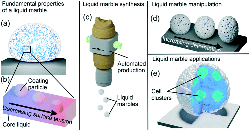 Magnetic liquid marble characteristics: a Magnetic liquid marble on