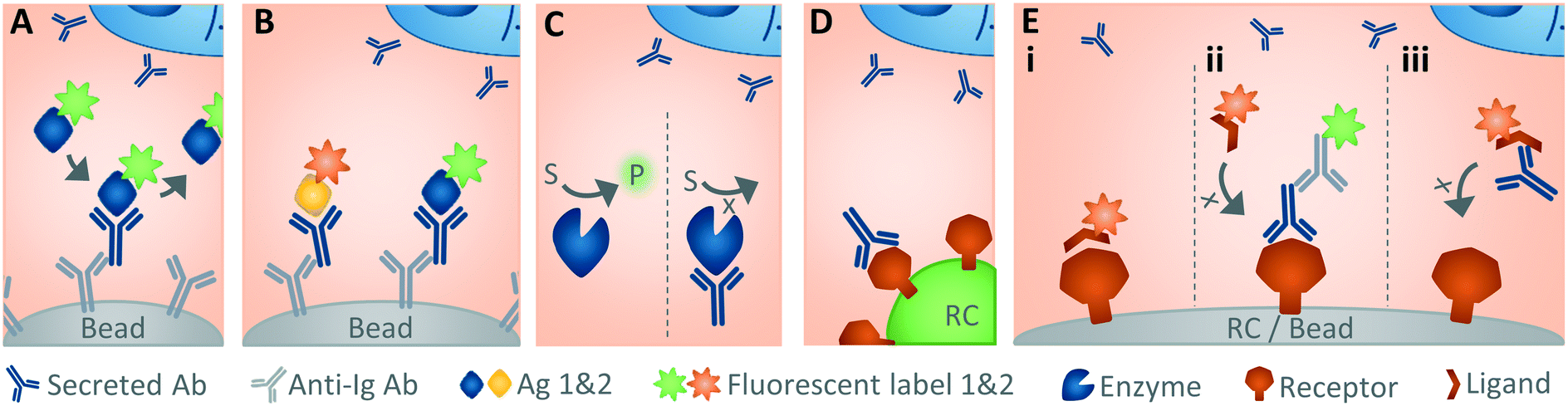 Miniaturized single-cell technologies for monoclonal antibody discovery -  Lab on a Chip (RSC Publishing) DOI:10.1039/D1LC00243K