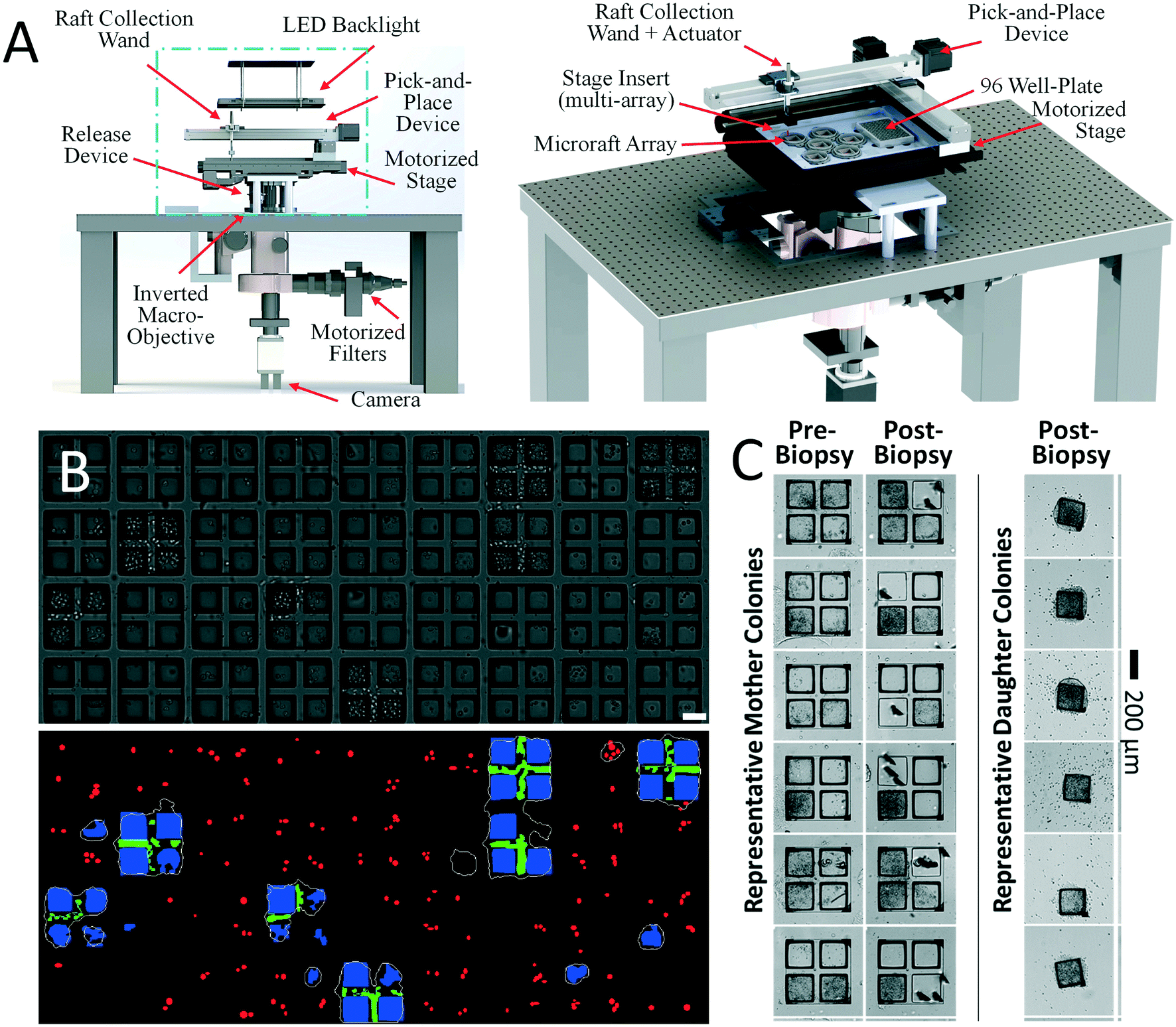 https://pubs.rsc.org/image/article/2021/LC/d1lc00506e/d1lc00506e-f7_hi-res.gif