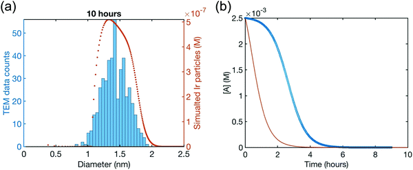 Particle formation mechanisms supported by in situ synchrotron