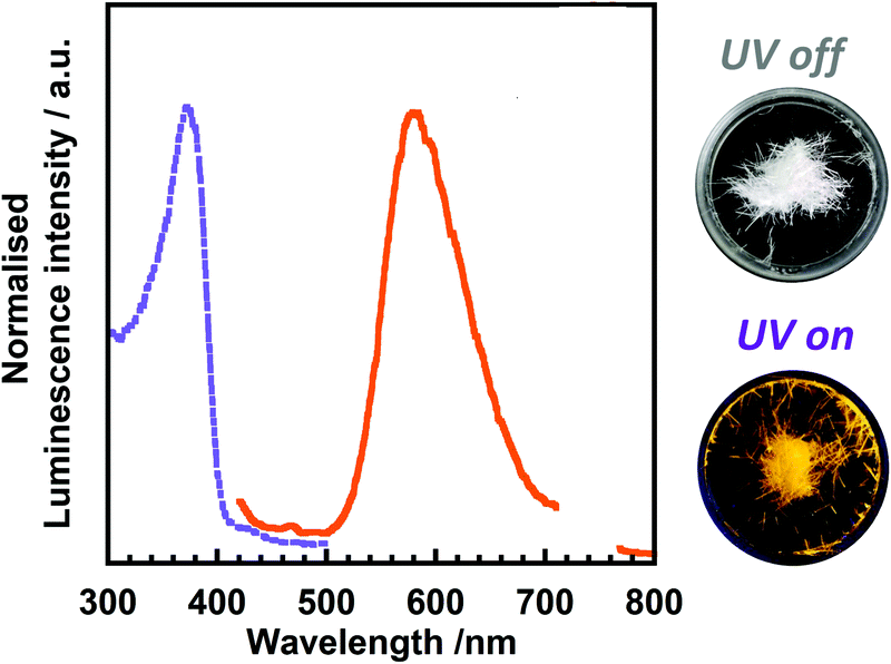 Excitation spectrum (λem = 544 nm) (a) and emission spectra