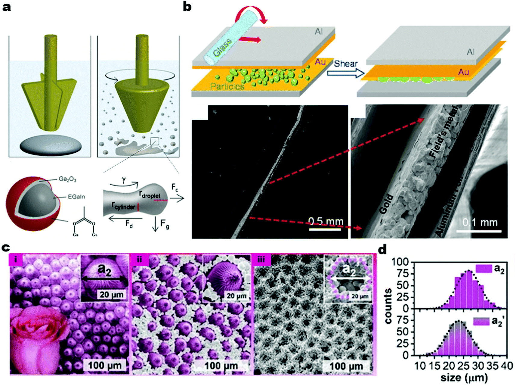 Fabrication of magnetic nano liquid metal fluid through loading of Ni  nanoparticles into gallium or its alloy - ScienceDirect