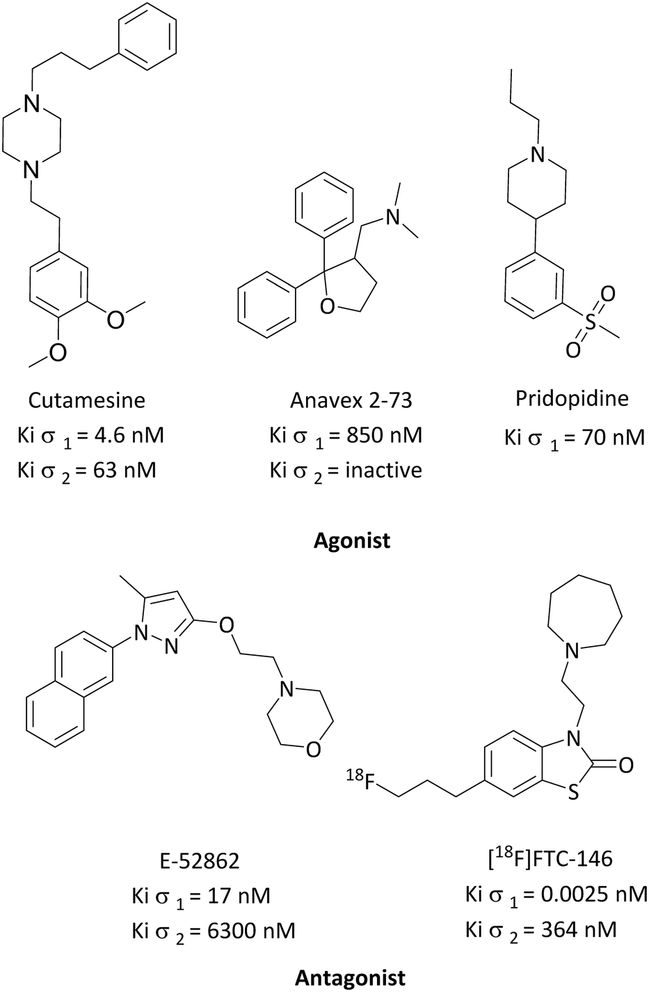 In Vitro And In Vivo Sigma 1 Receptor Imaging Studies In Different Disease States Rsc Medicinal Chemistry Rsc Publishing Doi 10 1039 D0mdd