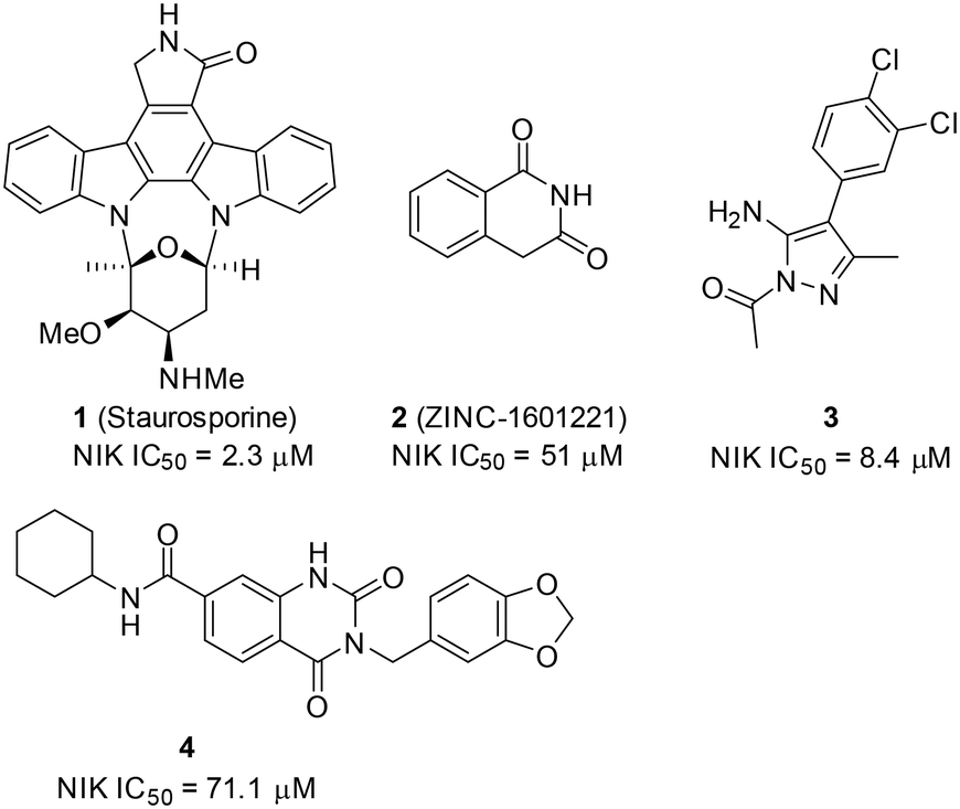 Pharmacological inhibition of NF-κB-inducing kinase (NIK) with small  molecules for the treatment of human diseases - RSC Medicinal Chemistry  (RSC Publishing) DOI:10.1039/D0MD00361A