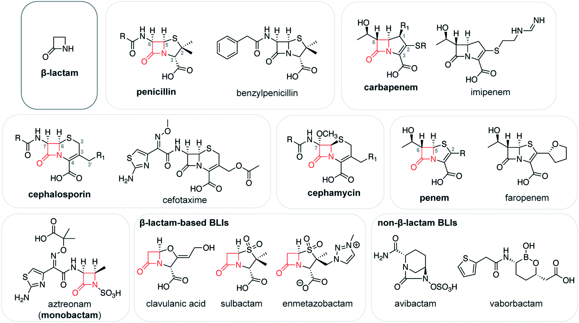 Penicillin g beta lactam