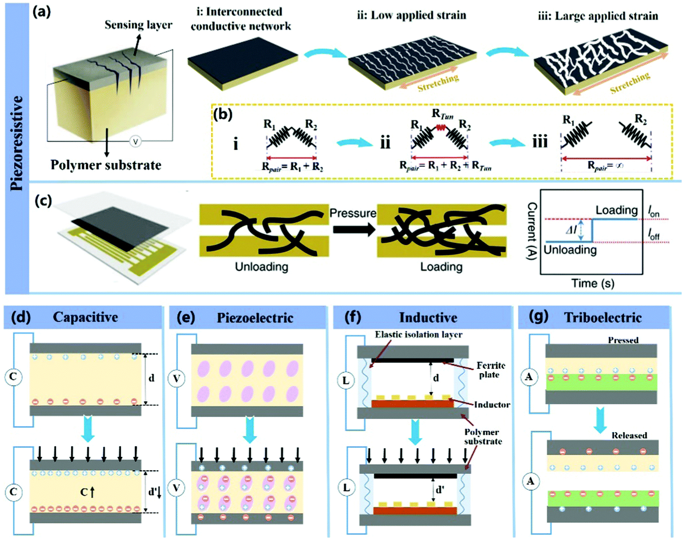 Anisotropic conductive networks for multidimensional sensing 