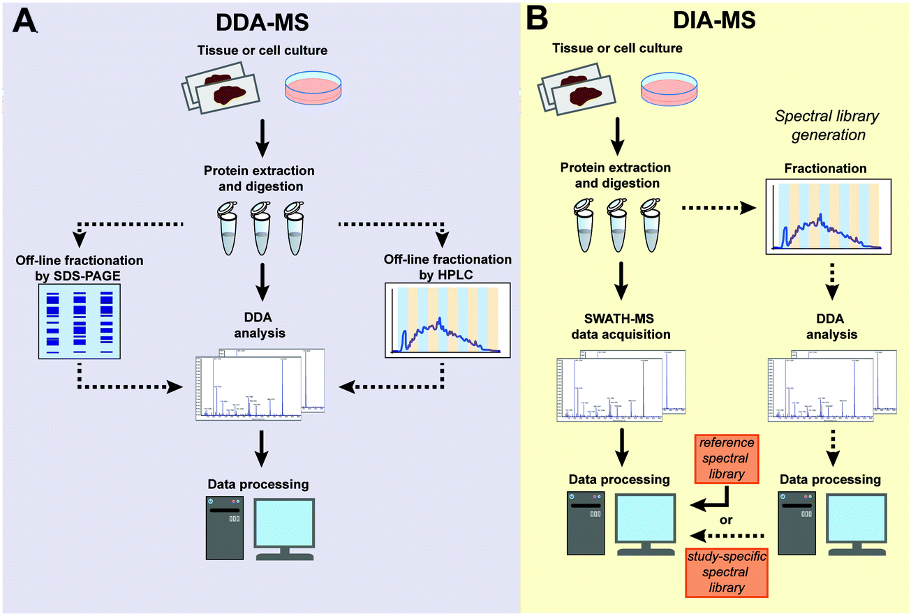 Data-independent acquisition mass spectrometry (DIA-MS) for proteomic  applications in oncology - Molecular Omics (RSC Publishing)  DOI:10.1039/D0MO00072H